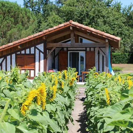 Pierron Hébergement de vacances *